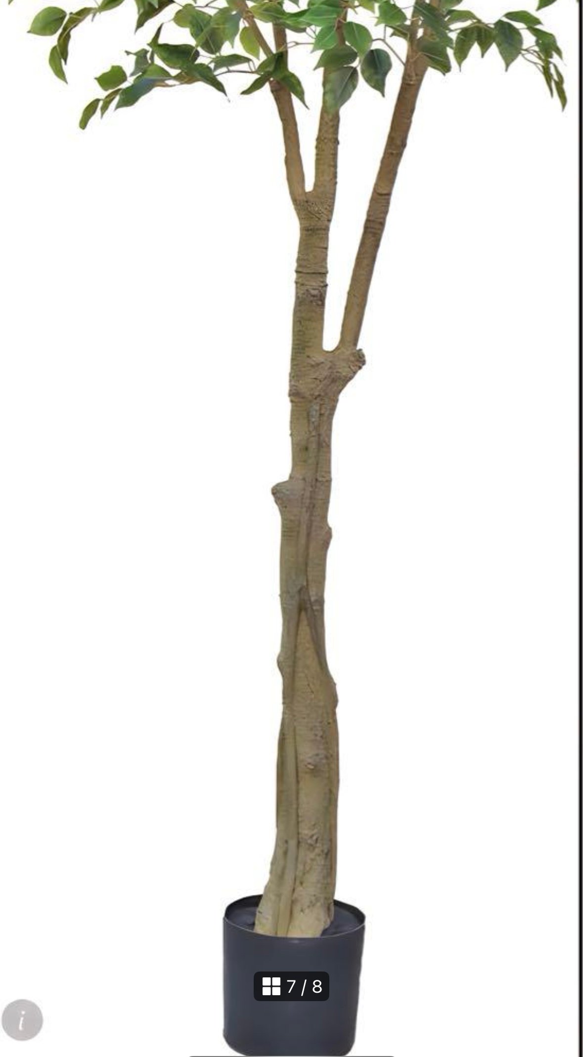 光触媒 人工観葉植物 ウォールグリーン フェイクグリーン ベンジャミン