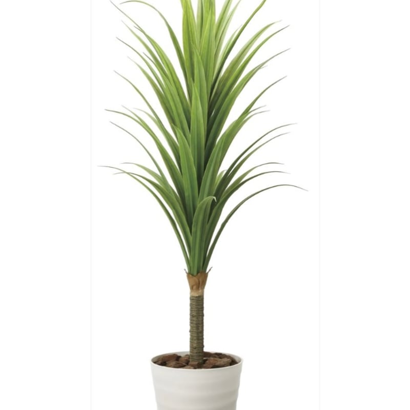 光触媒 人工観葉植物 フェイクグリーン ドラセナ 高さ 1.8m 光触媒 人工観葉植物 フェイクグリーン ドラセナ 高さ 1.8m