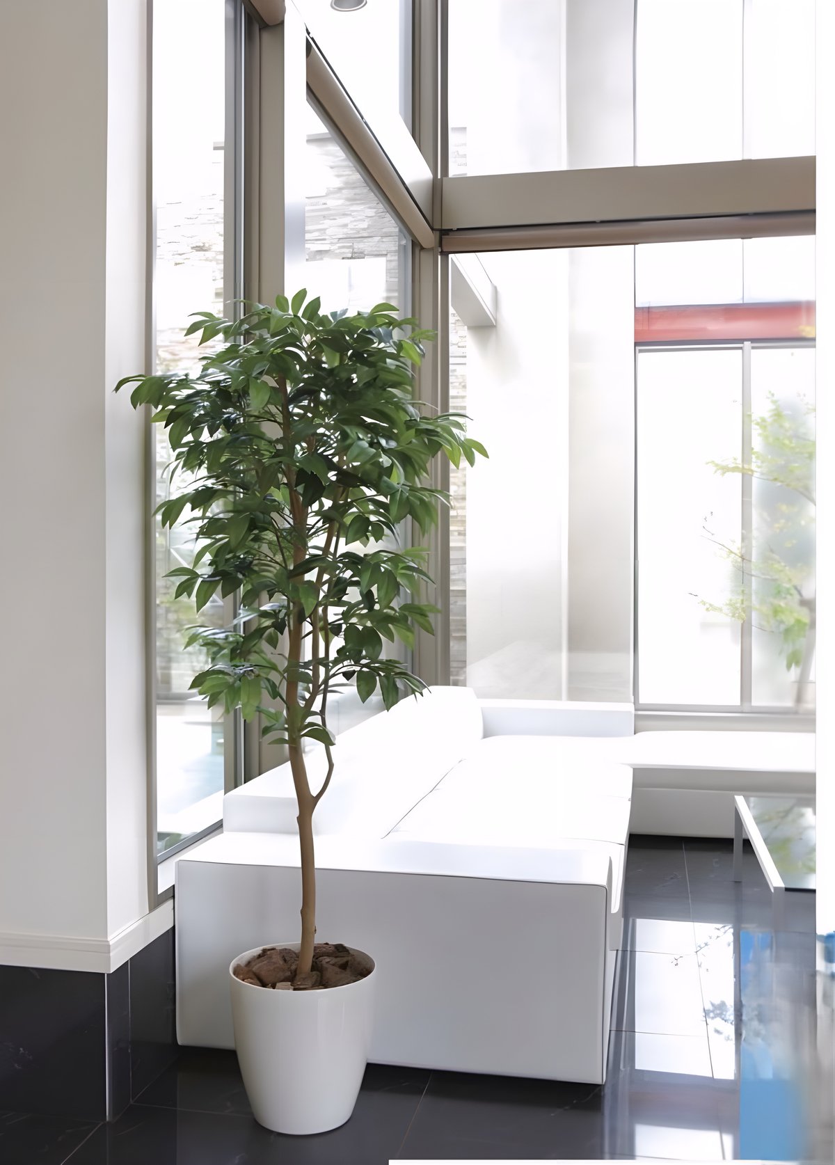 光触媒 人工観葉植物 ウォールグリーン フェイクグリーン マグノリアアレンジ61 光触媒人工観葉植物ウォールグリーンフェイクグリーンマグノリア