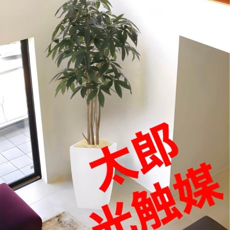 光触媒　人工観葉植物　フェイクグリーン　アーバンパキラ1.8