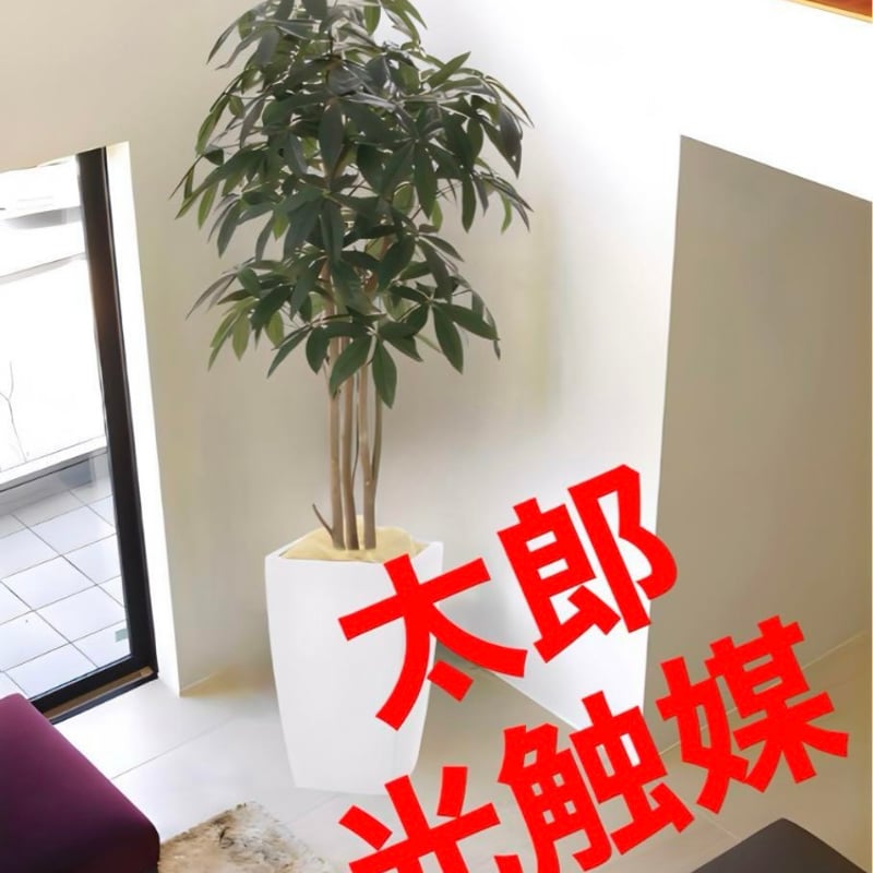 光触媒 人工観葉植物 フェイクグリーン アーバンパキラ1.8 | 太郎's STORE