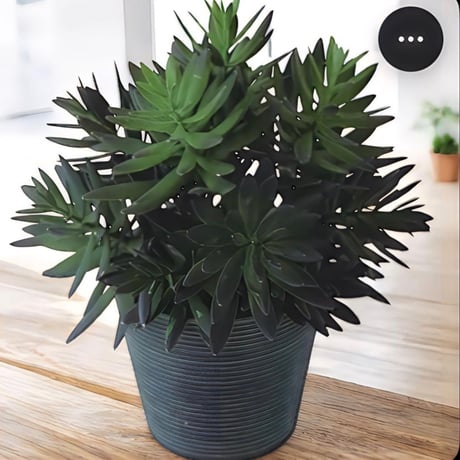 光触媒　人工観葉植物　ウォールグリーン　フェイクグリーン　サッカレントポット