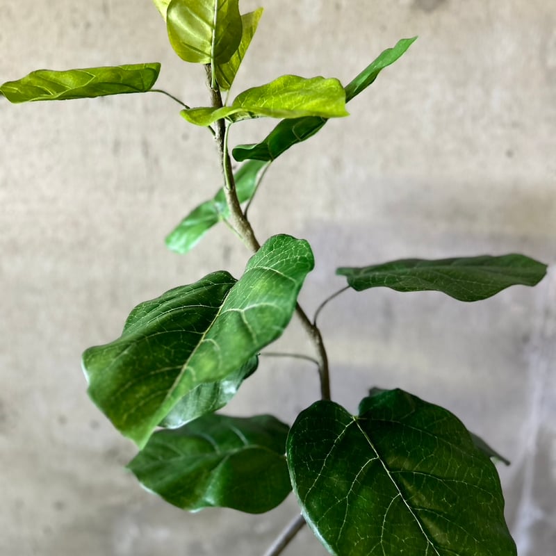 光触媒 人工観葉植物 ウォールグリーン フェイクグリーン 