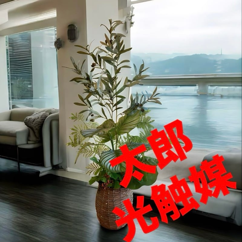 太郎