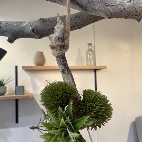 光触媒　人工観葉植物　ウォールグリーン　フェイクグリーン　壁掛けチランジア