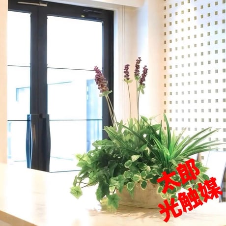 光触媒　人工観葉植物　ウォールグリーン　フェイクグリーン　寄せ植えラベンダー