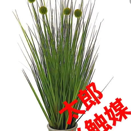光触媒　人工観葉植物　ウォールグリーン　フェイクグリーン　ボールグラス91