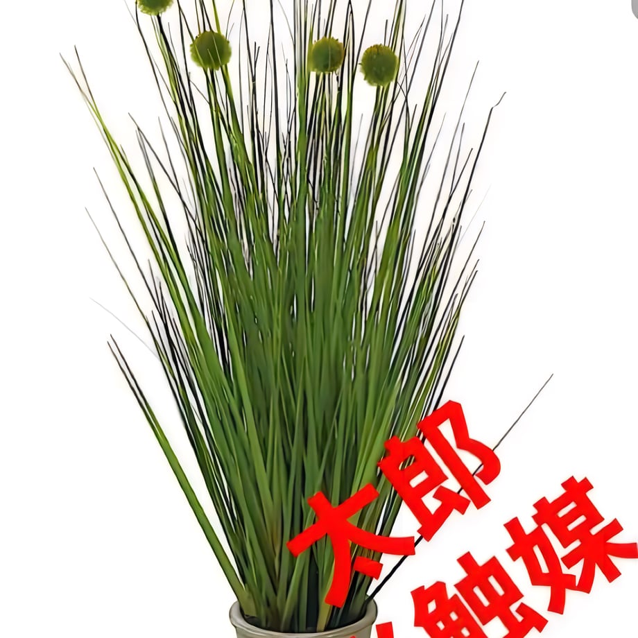 687706d73fed3cc9d31d772d