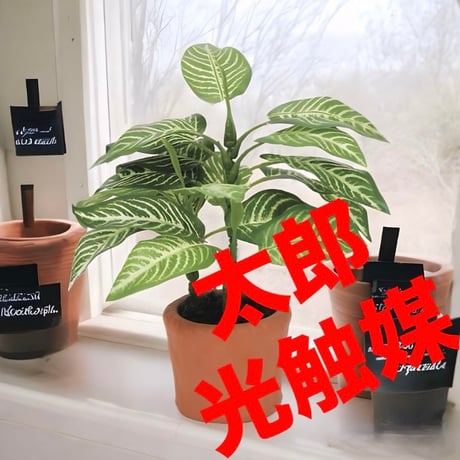 光触媒　人工観葉植物　フェイクグリーン　エバーフレッシュ　カントリーゼブラ