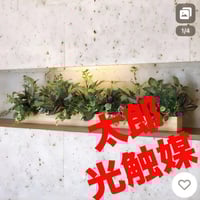 光触媒 人工観葉植物 フェイクグリーン ドラセナ 高さ 1.8m