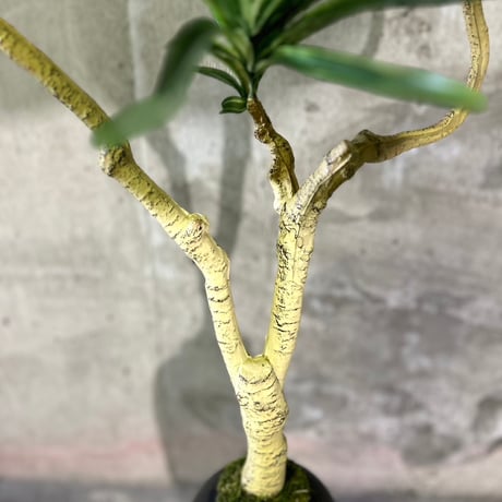 光触媒　人工観葉植物　ウォールグリーン　フェイクグリーン　コンシンネ13280