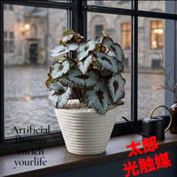 光触媒　人工観葉植物　ウォールグリーン　フェイクグリーン　ベコニア2027