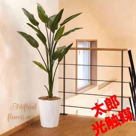 光触媒　人工観葉植物　ウォールグリーン　フェイクグリーン　ストレチア160