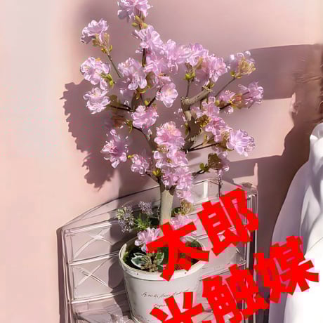 光触媒　人工観葉植物　ウォールグリーン　フェイクグリーン　桜さくら5530