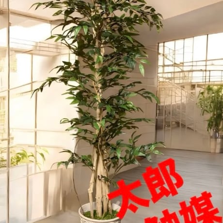 光触媒　人工観葉植物　ウォールグリーン　フェイクグリーン　イタリアンベンジャミン17075