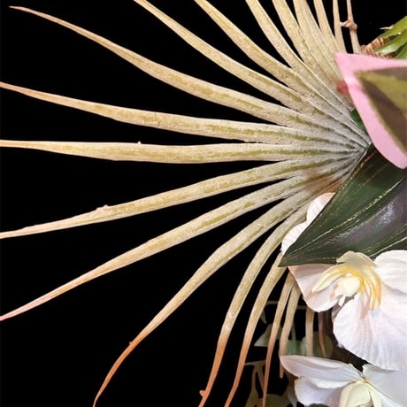 光触媒　人工観葉植物　ウォールグリーン　フェイクグリーン　壁掛け麻アレンジ100