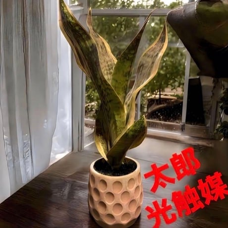 光触媒　人工観葉植物　ウォールグリーン　フェイクグリーン　サンセベリア49k