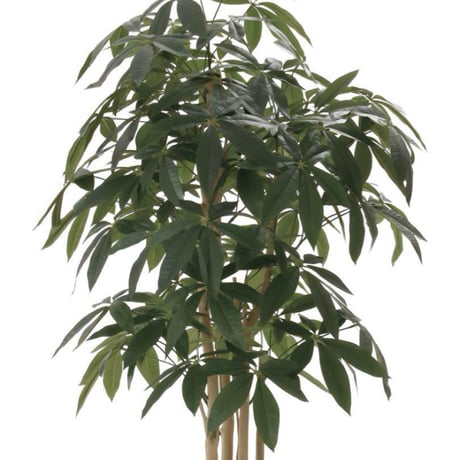 光触媒　人工観葉植物　フェイクグリーン　アーバンパキラ1.8