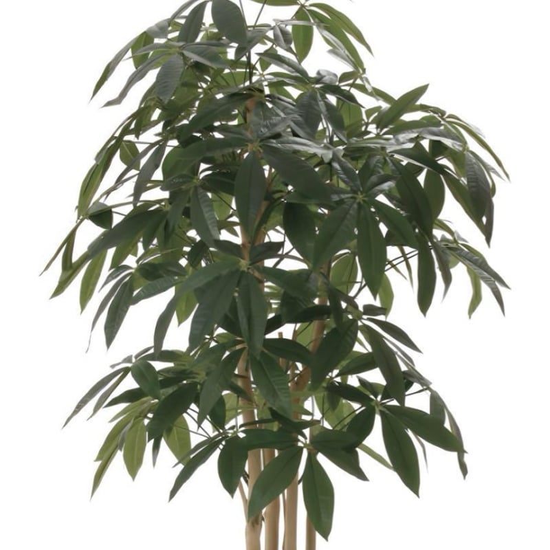 光触媒 人工観葉植物 フェイクグリーン アーバンパキラ1.8 | 太郎's STORE