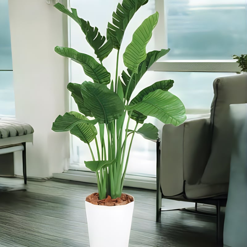 光触媒 人工観葉植物 ウォールグリーン フェイクグリーン ストレリチア 