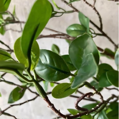 光触媒　人工観葉植物　ウォールグリーン　フェイクグリーン　ドウダン花器付き