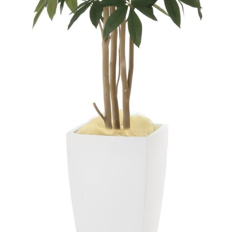 光触媒　人工観葉植物　フェイクグリーン　アーバンパキラ1.8