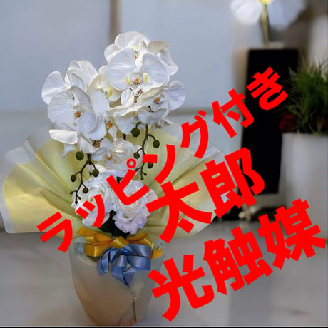 光触媒　人工観葉植物　ウォールグリーン　フェイクグリーン　胡蝶蘭アレンジ6832