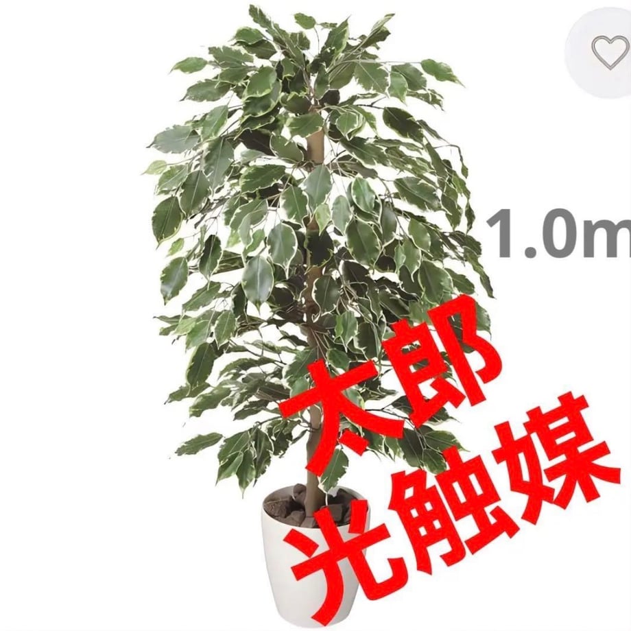 69db08f6f56a72c833feaddb