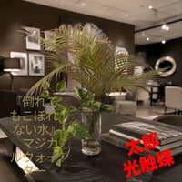 光触媒　人工観葉植物　ウォールグリーン　フェイクグリーン　マジカルウォーター6670