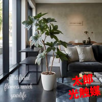 光触媒　人工観葉植物　ウォールグリーン　フェイクグリーン　ツピタンサス1.2