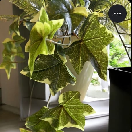 光触媒　人工観葉植物　ウォールグリーン　フェイクグリーン　ポーランドアイビーＡＬ