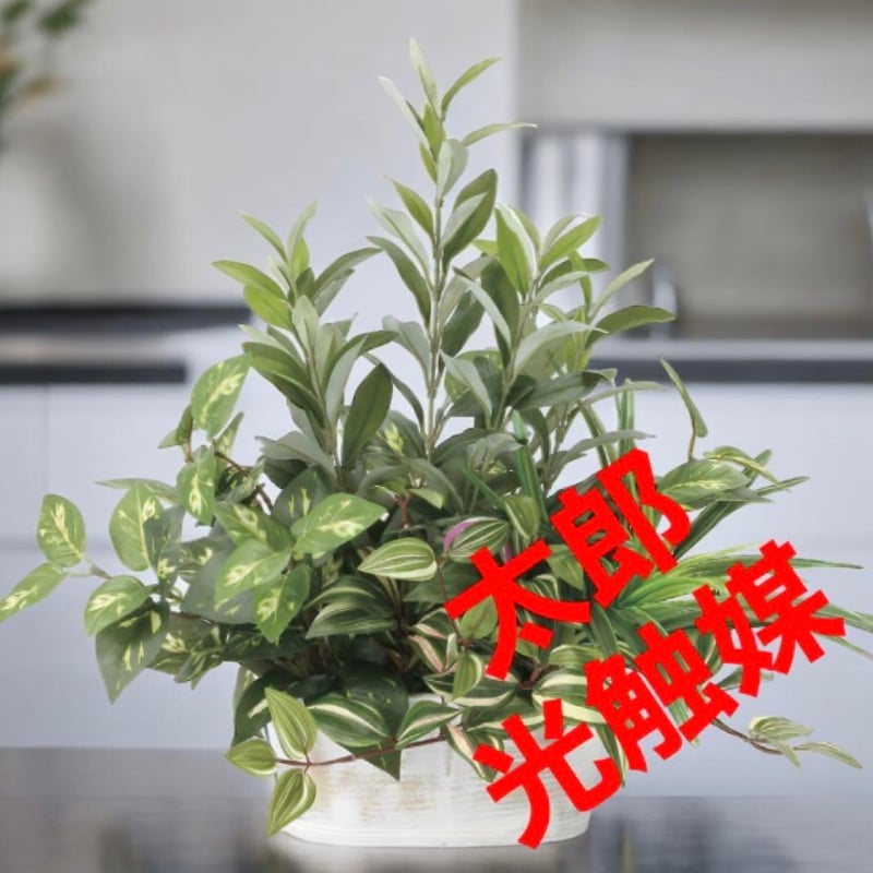 光の楽園 光触媒 人工観葉植物 ウォールグリーン フェイクグリーン