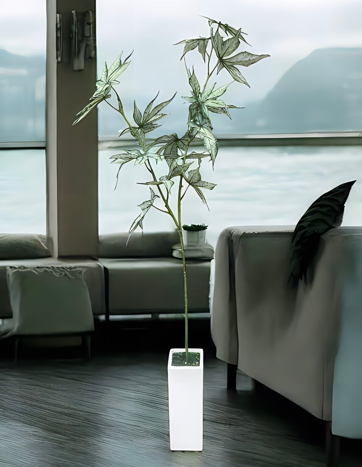 光触媒 人工観葉植物 ウォールグリーン フェイクグリーン ケナフ 