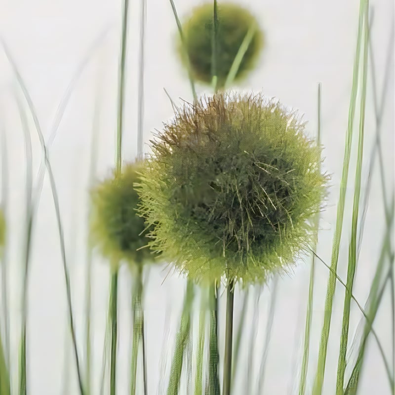 光触媒 人工観葉植物 ウォールグリーン フェイクグリーン ボールグラス 
