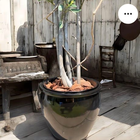 光触媒　人工観葉植物　ウォールグリーン　フェイクグリーン　オリーブtja