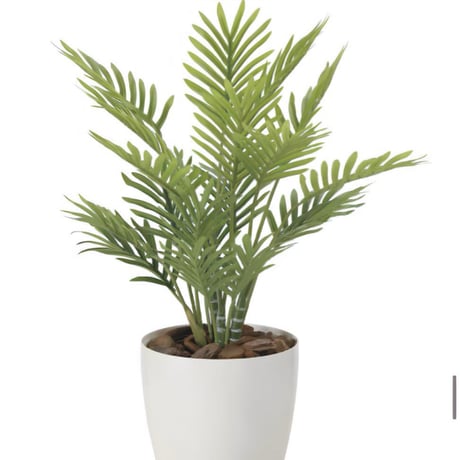 光触媒　人工観葉植物　ウォールグリーン　フェイクグリーン　フレッシュパーム