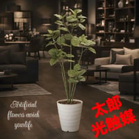 光触媒　観葉植物　ウォールグリーン　フェイクグリーン　ブランチウンベラータ1.6