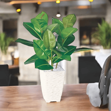 光触媒　人工観葉植物　ウォールグリーン　フェイクグリーン　ゴムノキ37
