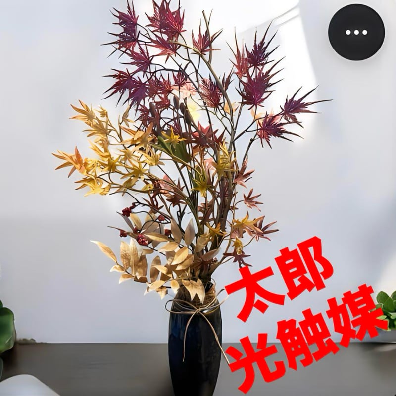 太郎's STORE