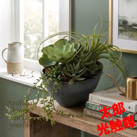 光触媒　人工観葉植物　ウォールグリーン　フェイクグリーン　エケベリアMIX