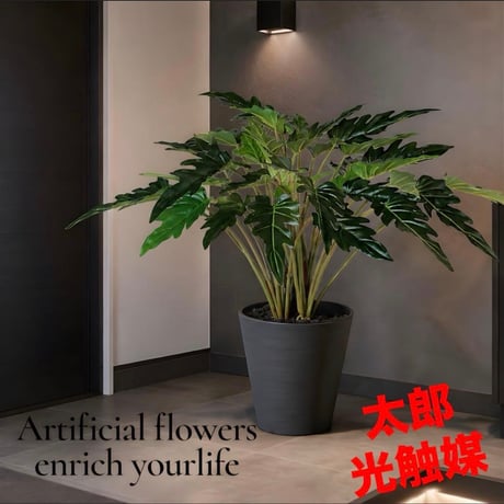 光触媒　人工観葉植物　ウォールグリーン　フェイクグリーン　クッカバラh50