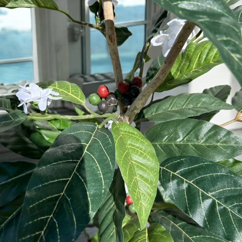 光触媒 人工観葉植物 ウォールグリーン フェイクグリーン コーヒーの木