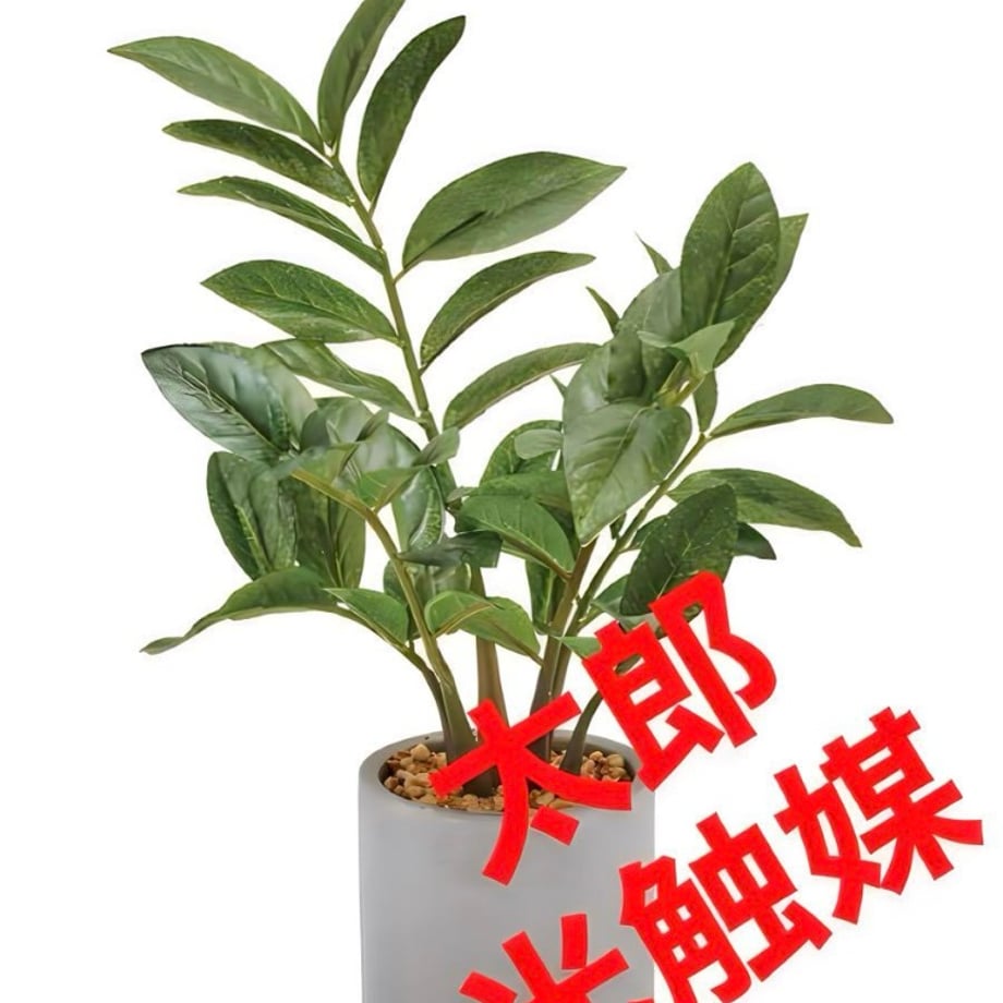 6821534a84748730ce02ef4d