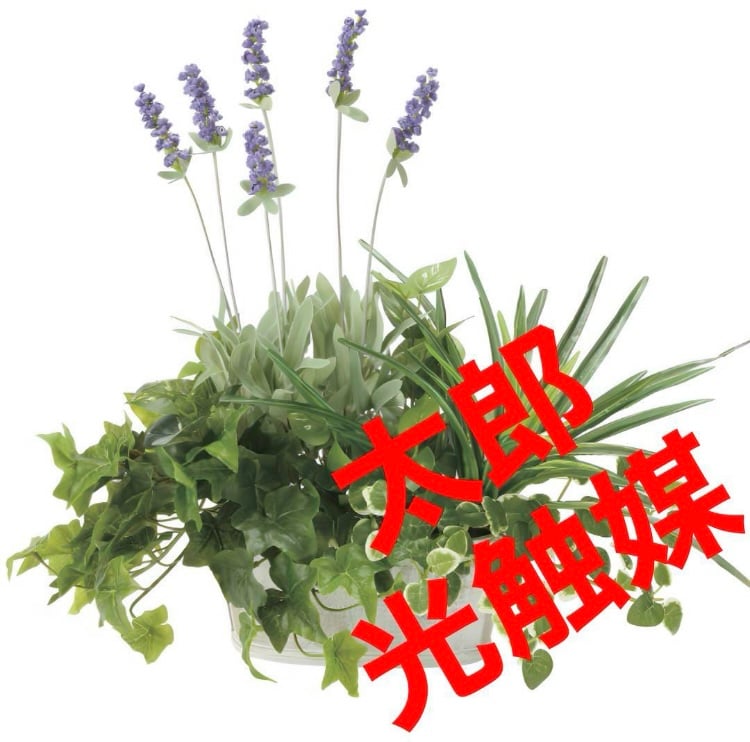 光触媒　人工観葉植物　ウォールグリーン　フェイクグリーン　寄せ植えラベンダー 光触媒 人工観葉植物 ウォールグリーン フェイクグリーン 寄セ植エ