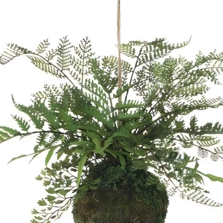69f339ed5db914668c5fd510