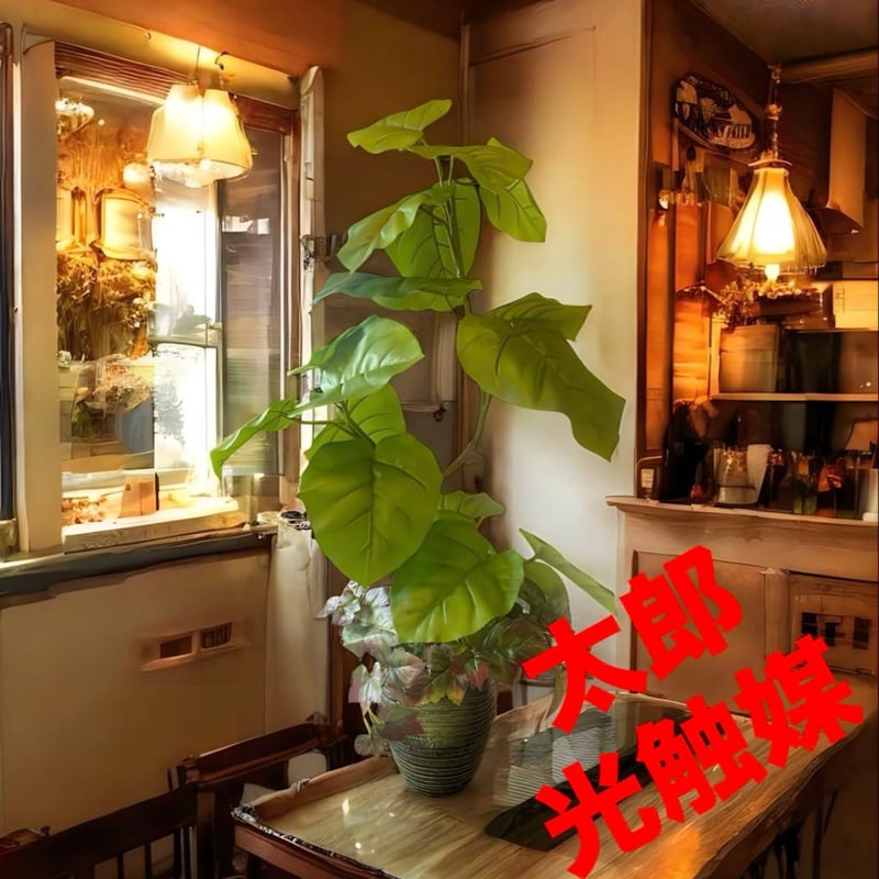 光触媒　人工観葉植物　ウォールグリーン　フェイクグリーン　満月 光触媒 人工観葉植物 ウォールグリーン フェイクグリーン 壁掛け40540