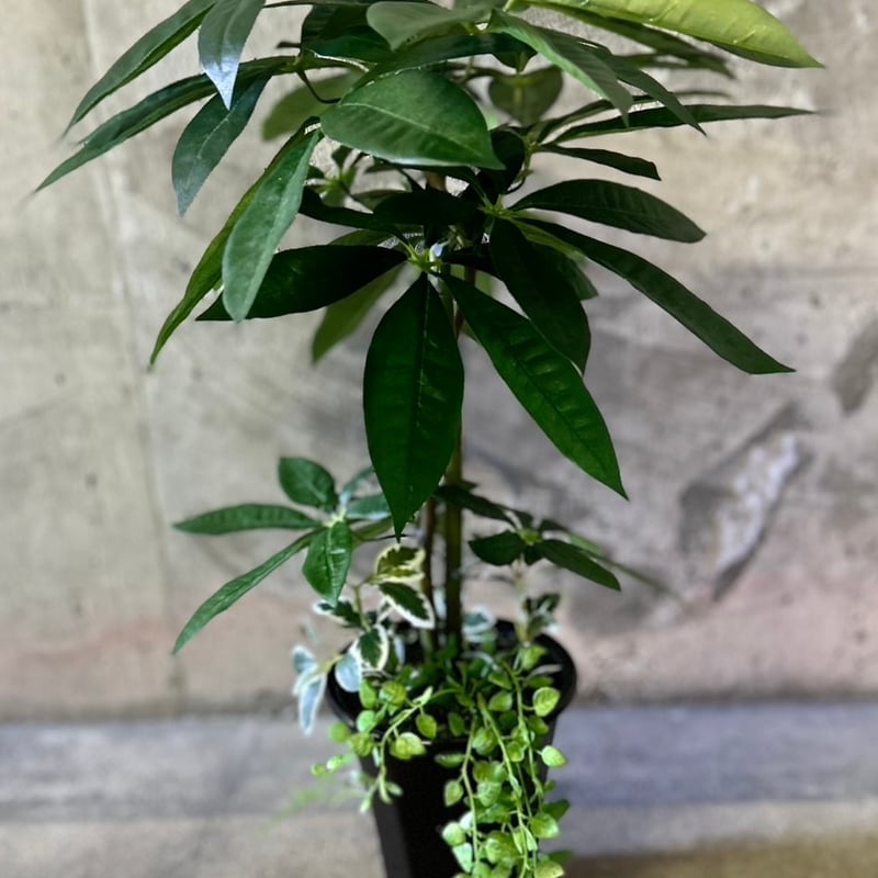 光触媒人工観葉植物ウォールグリーンフェイクグリーンアセビ210