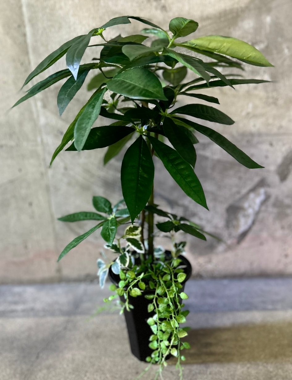 光触媒　人工観葉植物　ウォールグリーン　フェイクグリーン　ロックプランツC 光触媒人工観葉植物ウォールグリーンフェイクグリーンロック