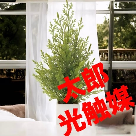光触媒　人工観葉植物　ウォールグリーン　フェイクグリーン　ミニゴールドクレスト