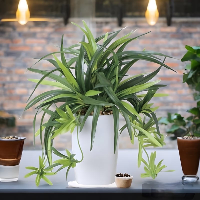 光触媒 人工観葉植物 ウォールグリーン フェイクグリーン ドラセナ